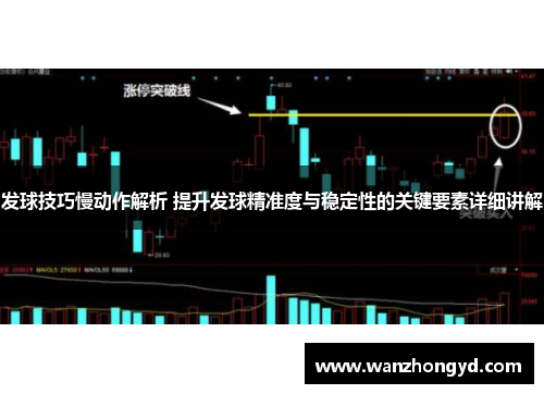 发球技巧慢动作解析 提升发球精准度与稳定性的关键要素详细讲解